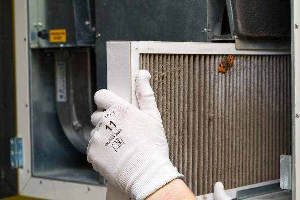 Best Affordable Duct Cleaning Services  in Strafford, MO