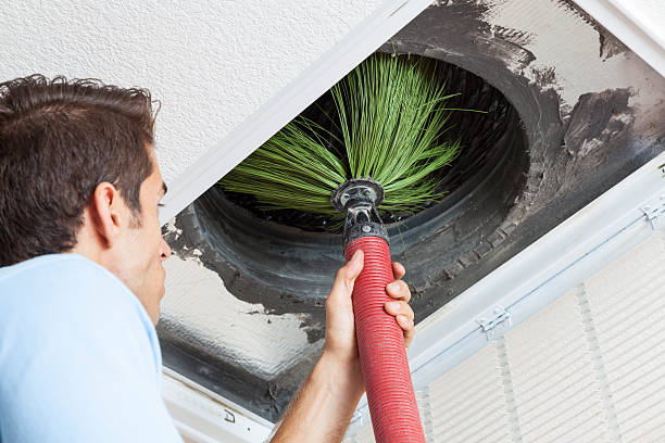 Best Affordable Duct Cleaning Services  in Strafford, MO